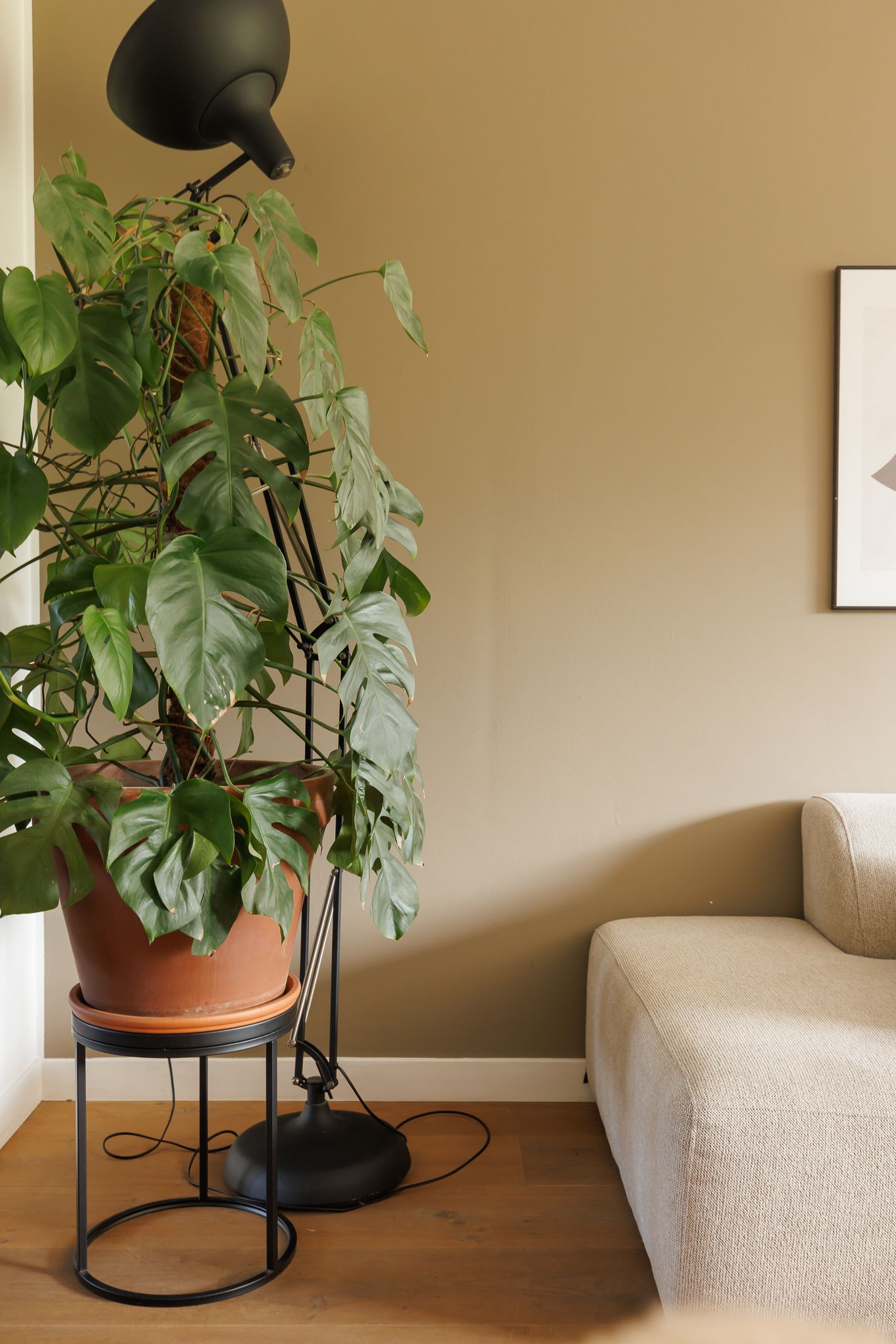 Foto 20 van Amsterdamseweg 224