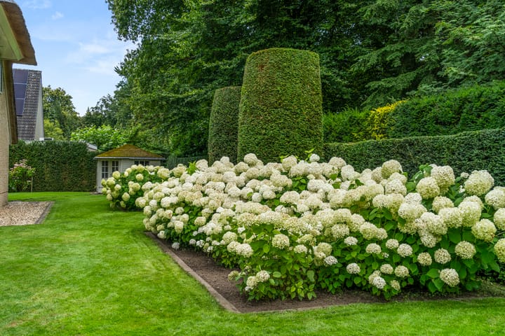 Foto 21 van Utrechtseweg 426