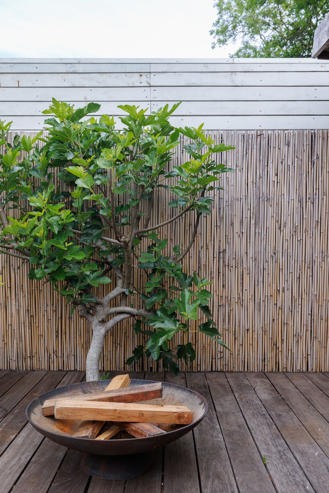 Foto 56 van Amsterdamseweg 224