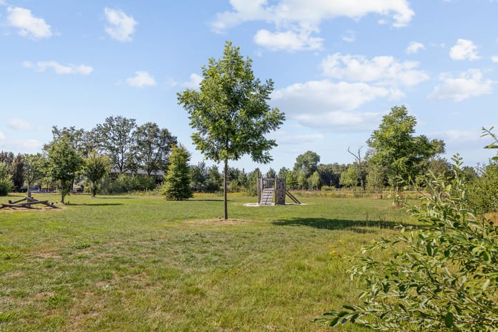 Foto 2 van Aardbeivlinder 24