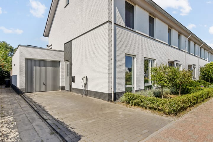 Foto 5 van Aardbeivlinder 24