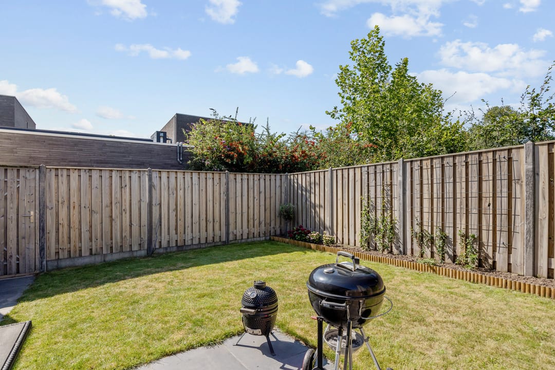 Photo 16 of Aardbeivlinder 24