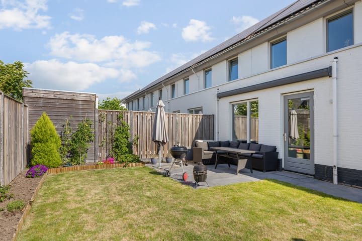 Foto 17 van Aardbeivlinder 24