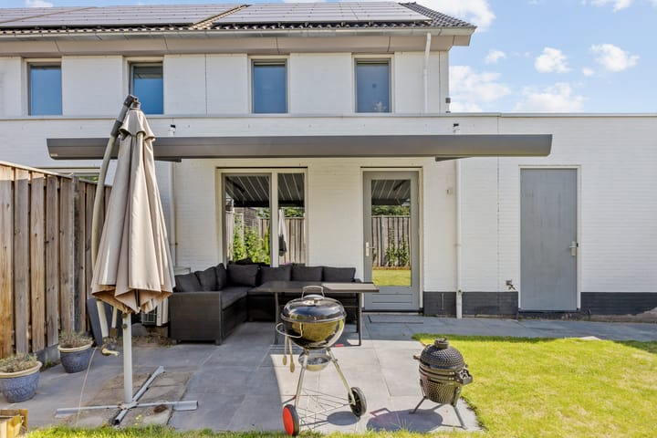 Foto 19 van Aardbeivlinder 24