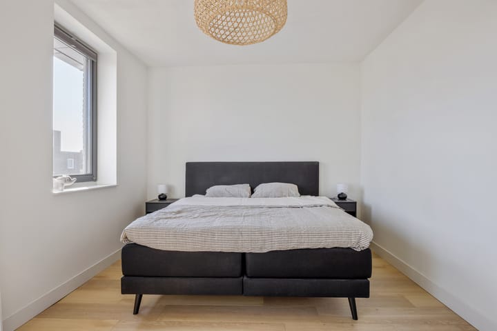 Foto 24 van Aardbeivlinder 24