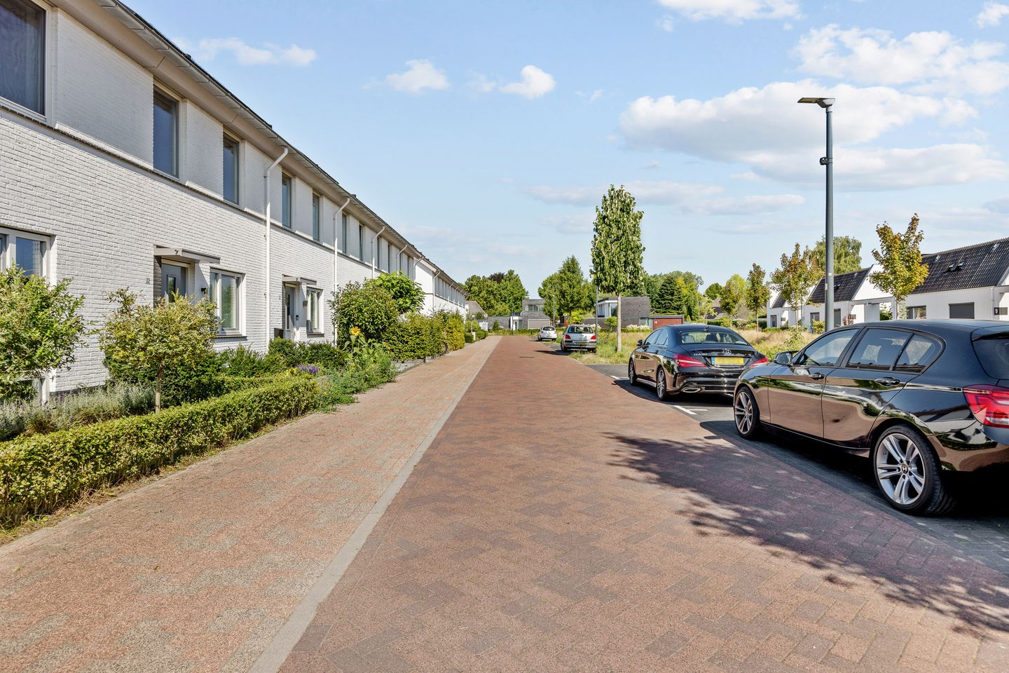 Photo 35 of Aardbeivlinder 24