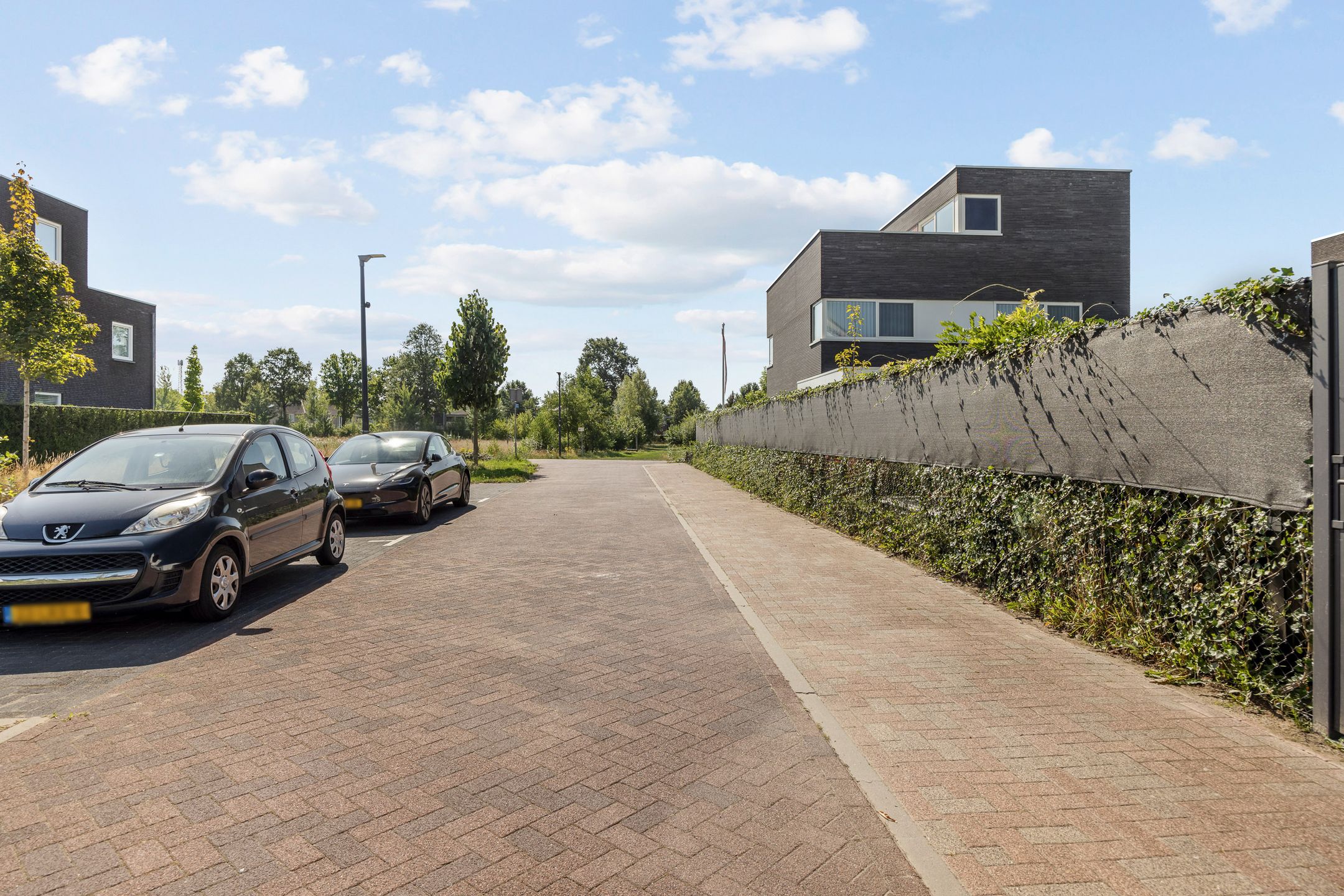 Photo 36 of Aardbeivlinder 24