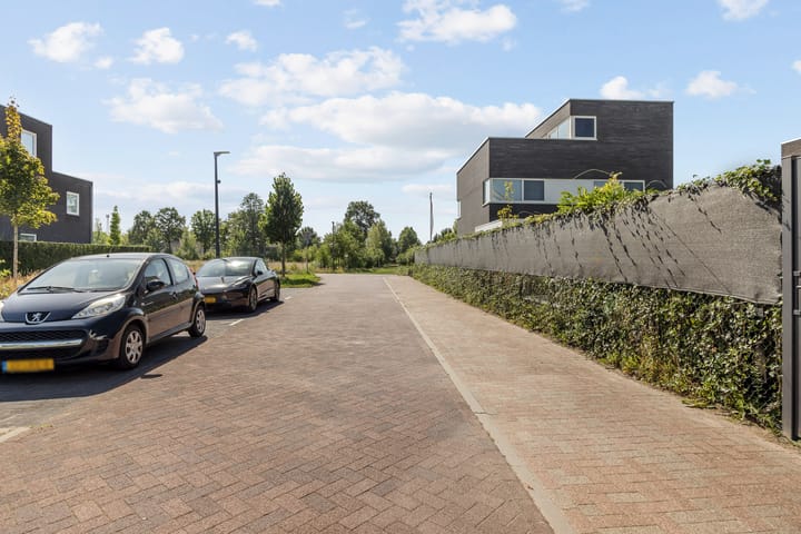 Foto 36 van Aardbeivlinder 24