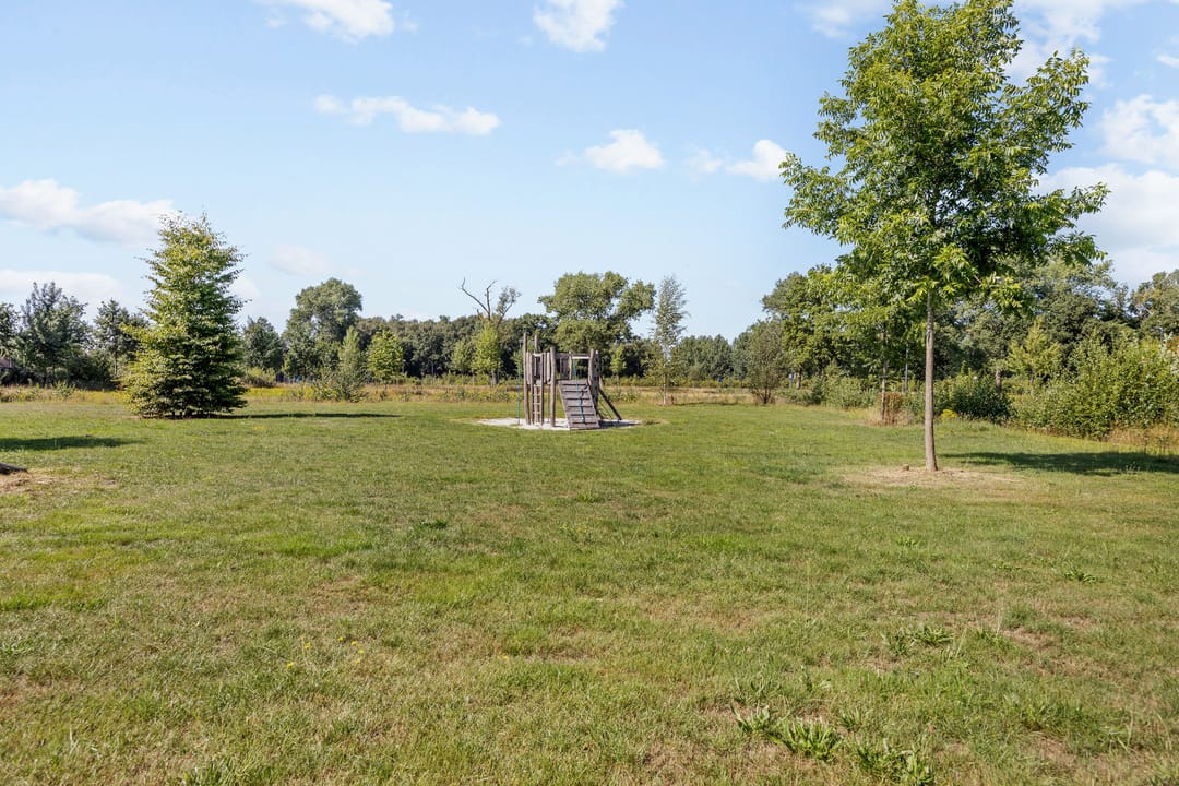 Photo 37 of Aardbeivlinder 24