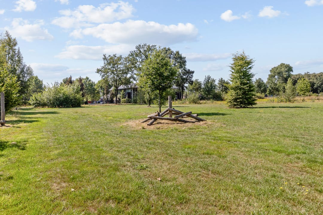 Photo 38 of Aardbeivlinder 24