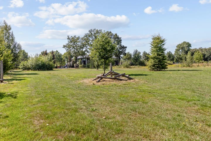 Foto 38 van Aardbeivlinder 24