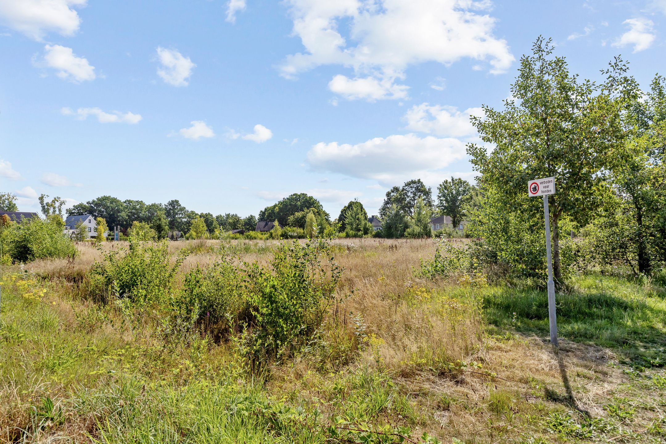 Photo 39 of Aardbeivlinder 24