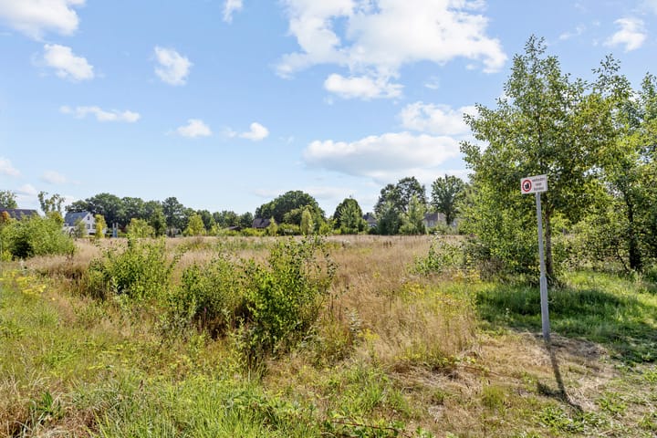 Foto 39 van Aardbeivlinder 24