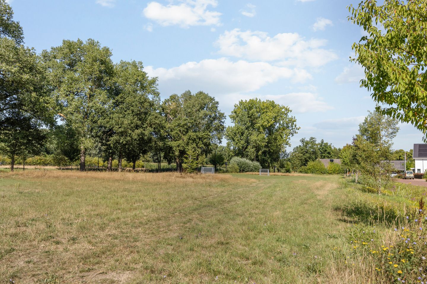 Photo 40 of Aardbeivlinder 24