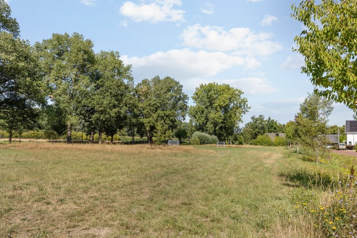 Foto 40 van Aardbeivlinder 24