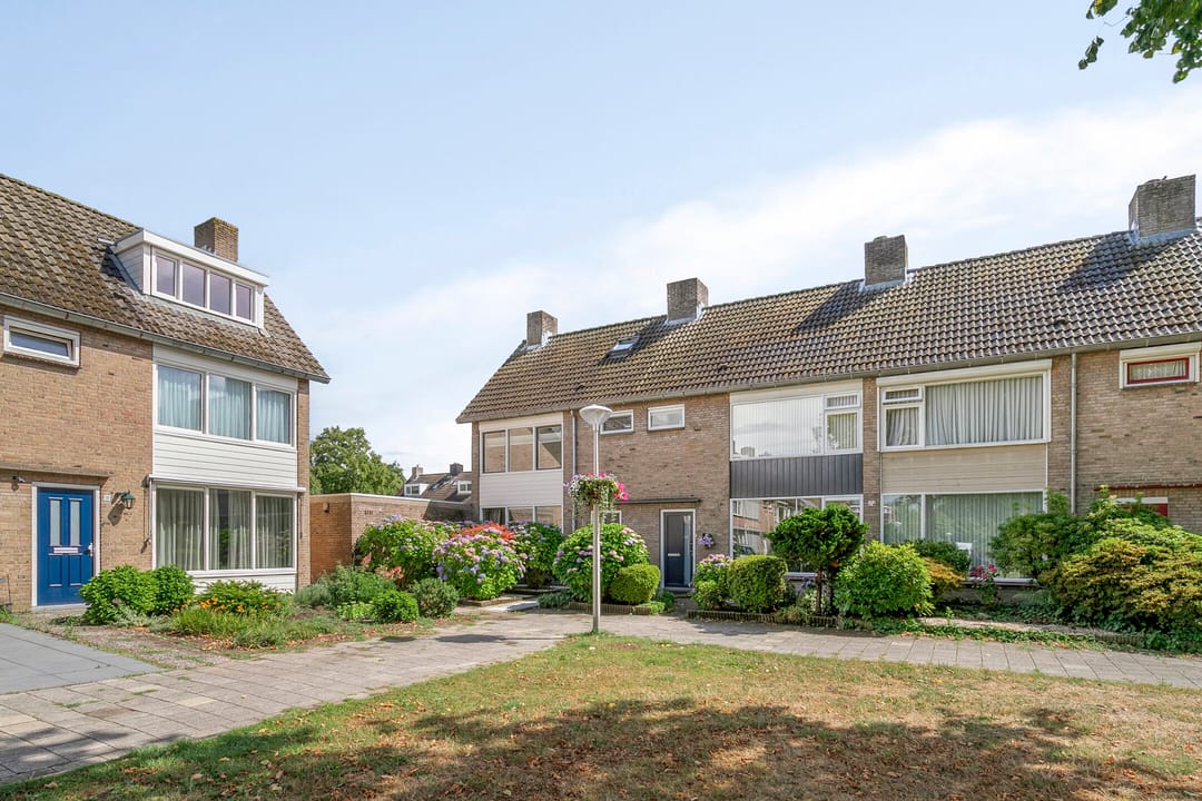 Foto 2 van Adelaertstraat 16