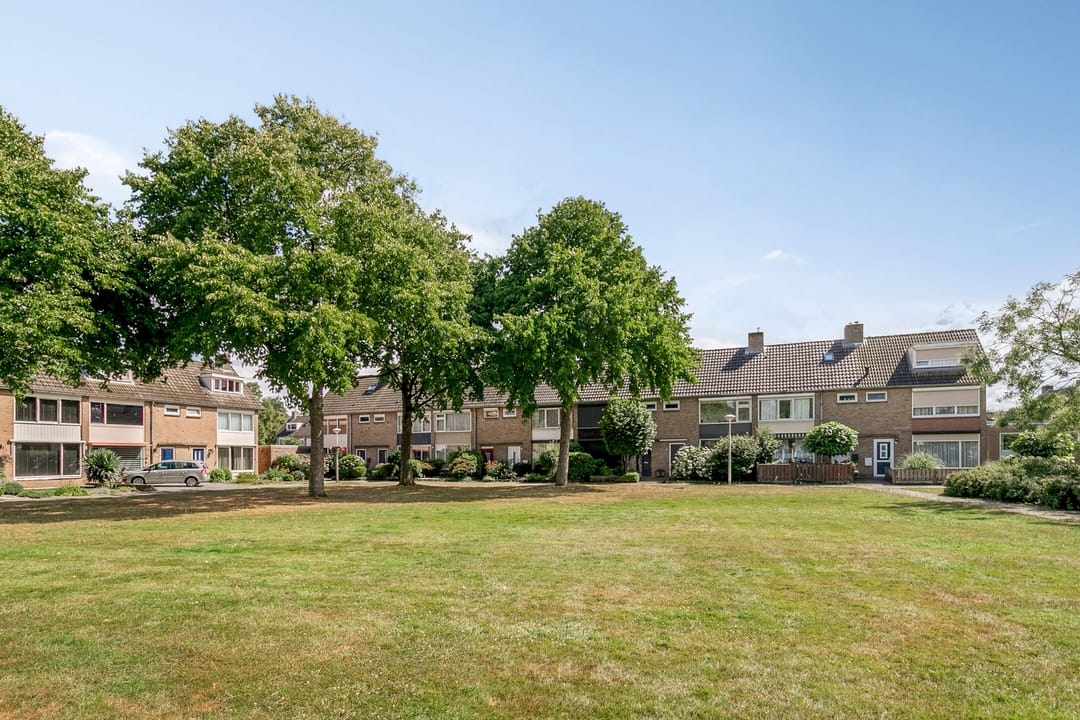 Foto 31 van Adelaertstraat 16