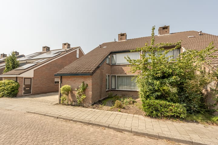 Foto 48 van Zeggegors 16