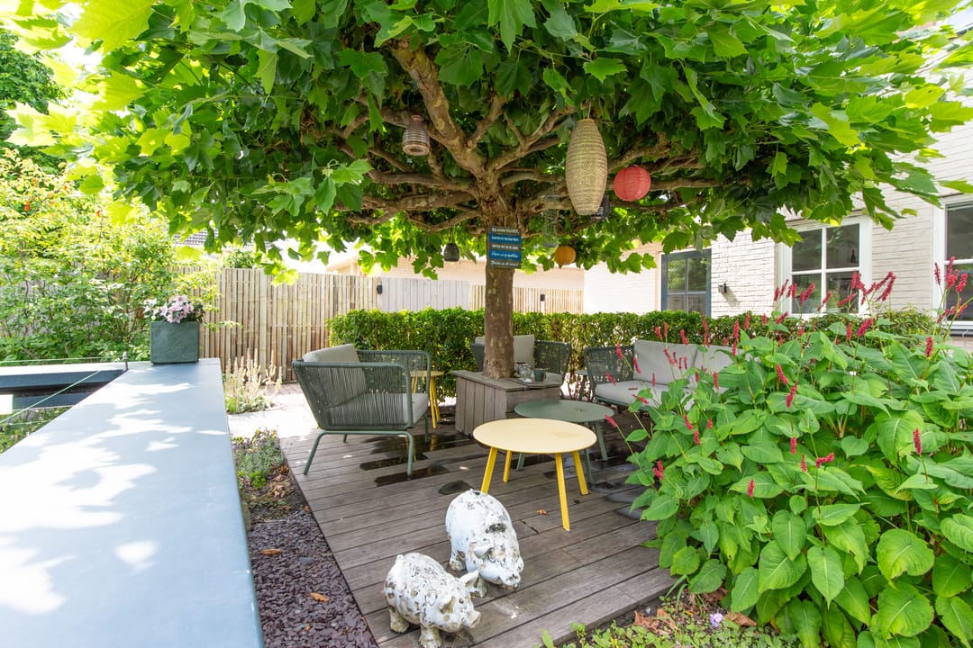 Foto 47 van Melisse 1