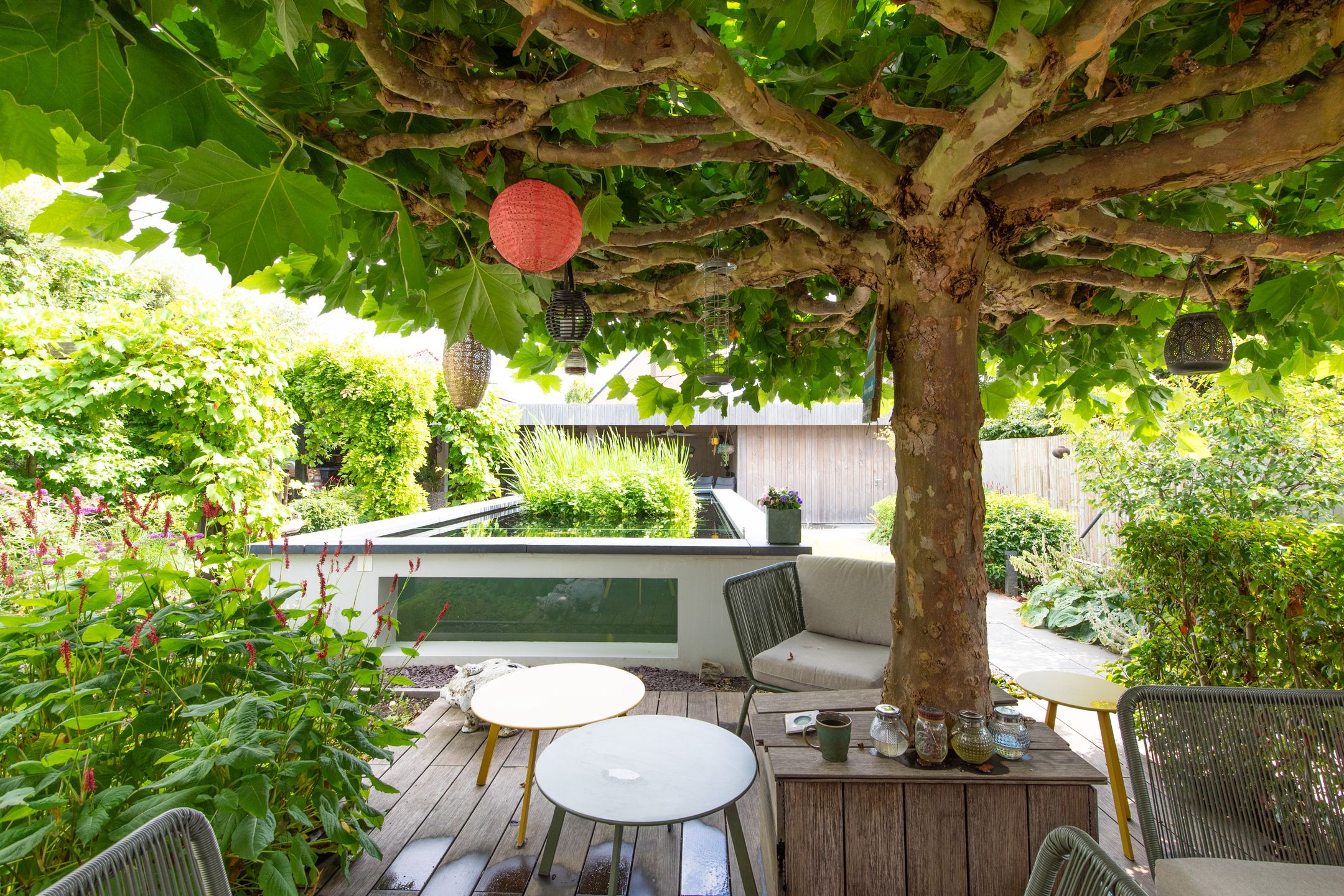 Foto 48 van Melisse 1