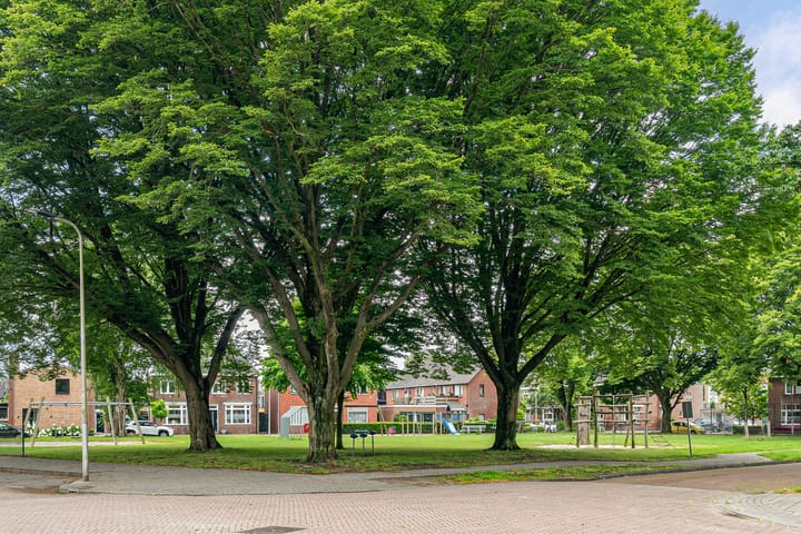 Foto 37 van Anemoonstraat 29