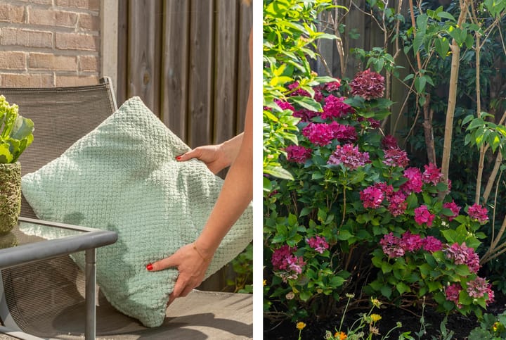 Foto 22 van Bijlacker 4