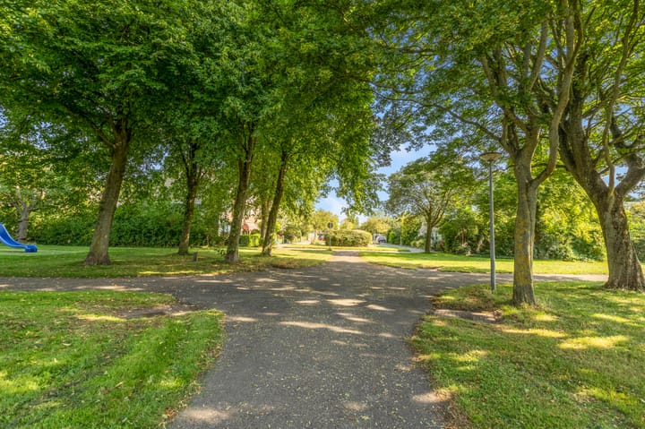 Foto 41 van Bijlacker 4