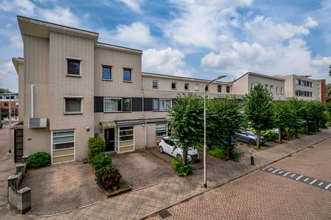 undefined main image