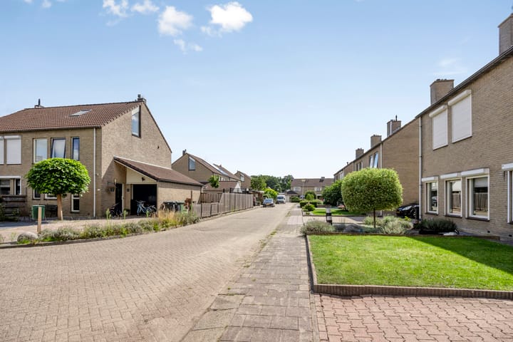 Foto 43 van Zuring 38