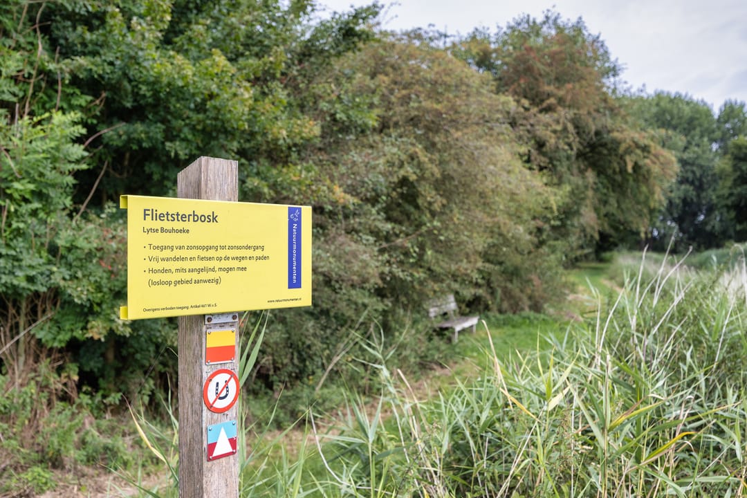 Foto 41 van De Terp 33