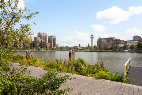 Rochussenstraat 243-A secondary image