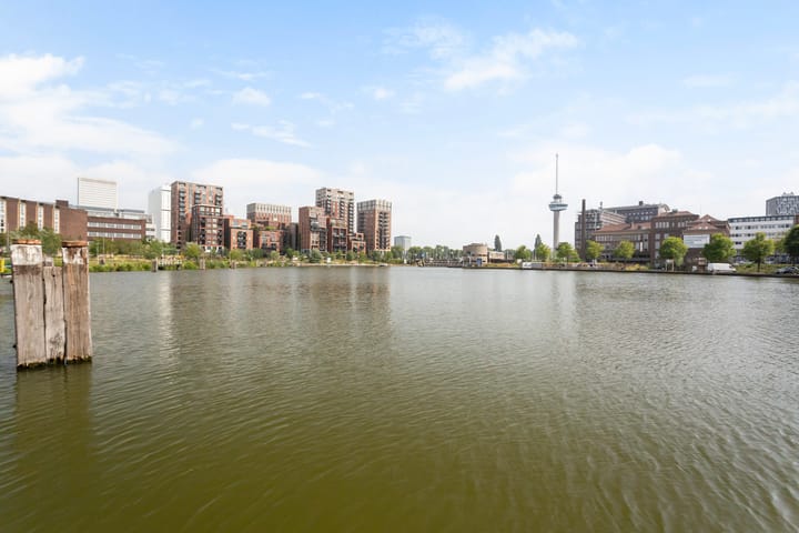 Foto 24 van Rochussenstraat 243-A