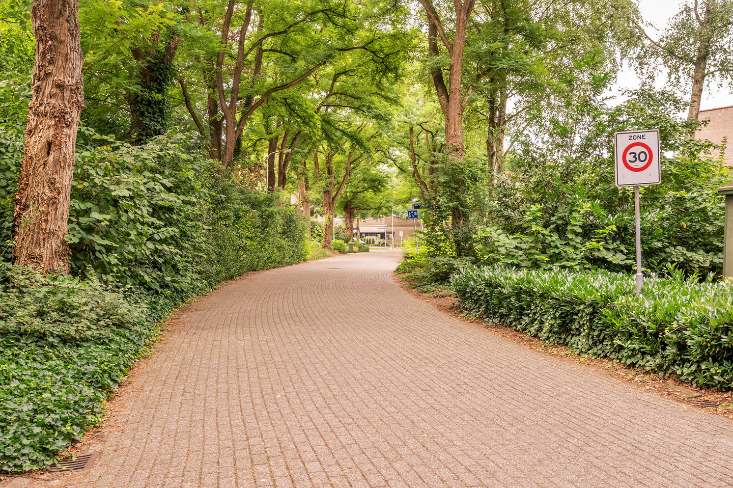 Photo 59 of Potgieterstraat 4