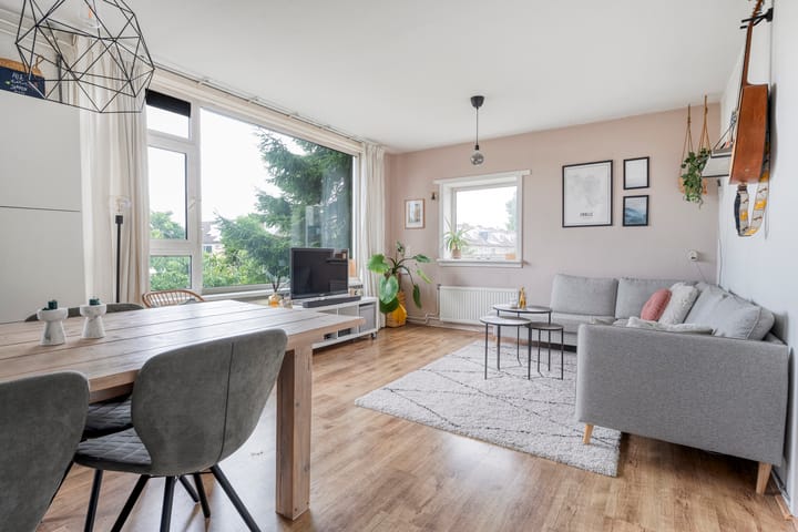 Foto 3 van Van Hille Gaerthéstraat 52