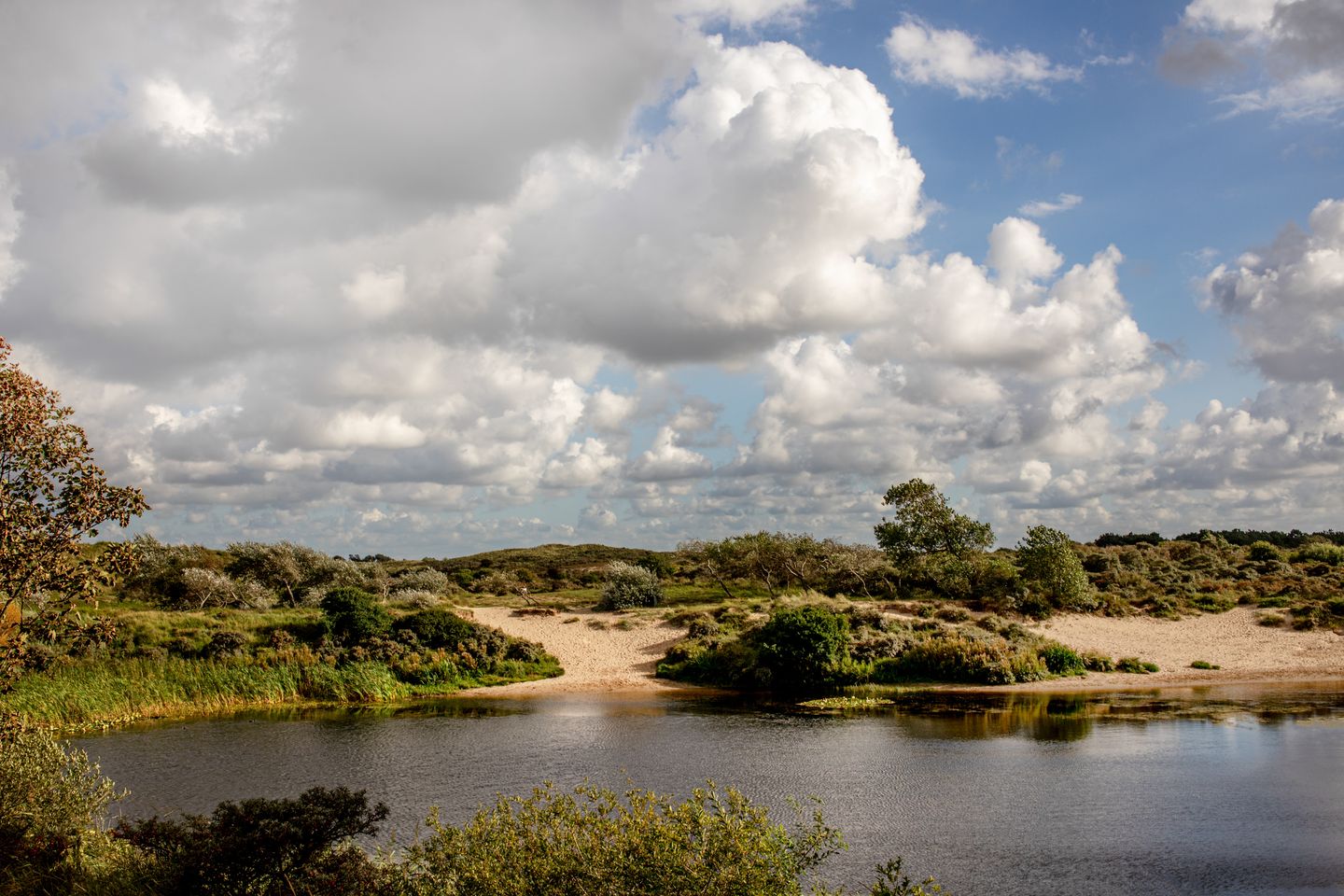 Foto 55 van van Speijkstraat 170