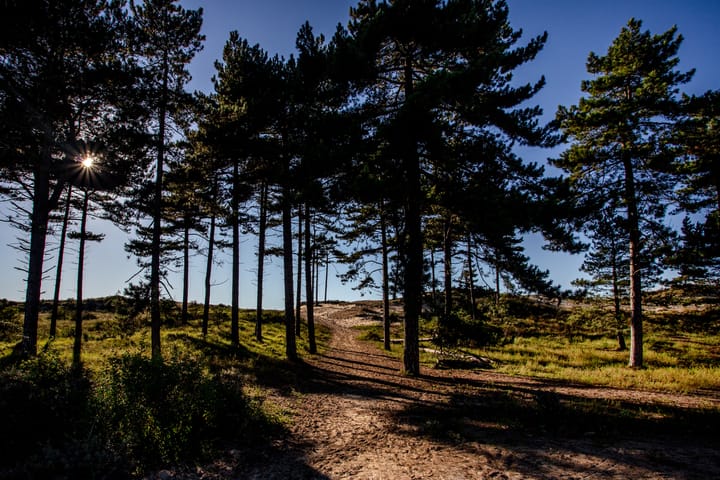 Foto 54 van van Speijkstraat 170