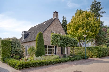 undefined main image