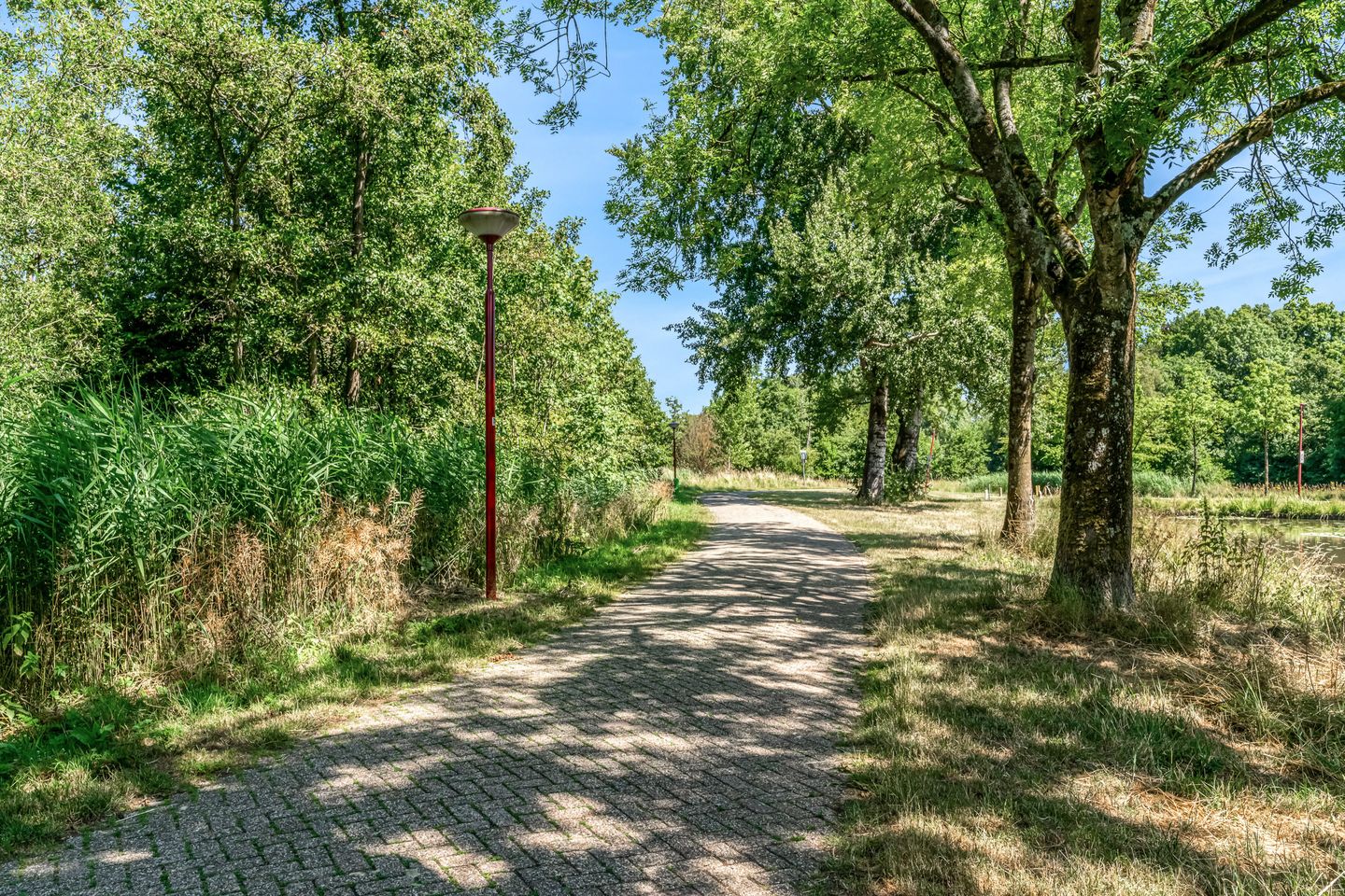 Foto 35 van Resedahof 18