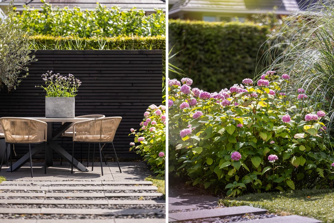 Photo 31 of Bandhaak 10