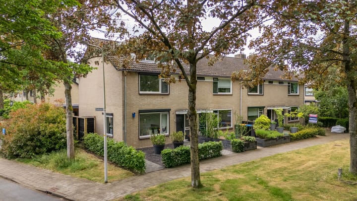 Foto 3 van Krugerstraat 217