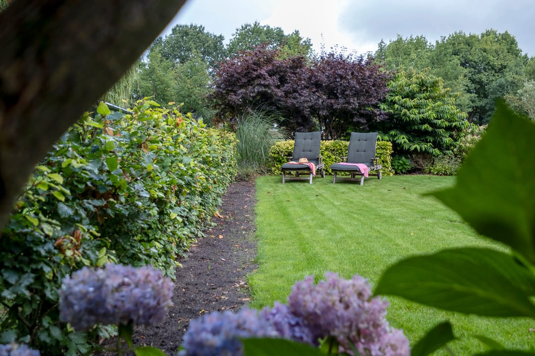 Foto 58 van Meerkoetlaan 54