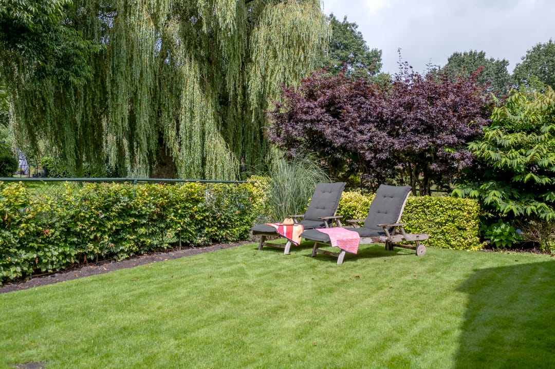 Foto 61 van Meerkoetlaan 54