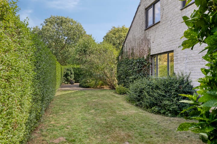 Foto 18 van Salomonszegel 129