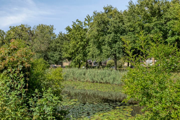 Foto 36 van Salomonszegel 129