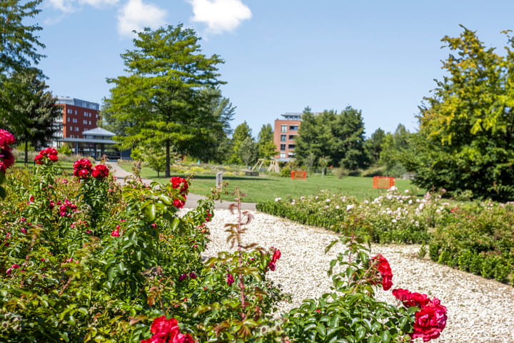 Foto 37 van Cavaleriestraat 54