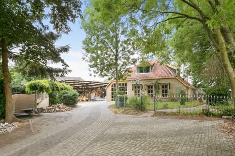 undefined main image