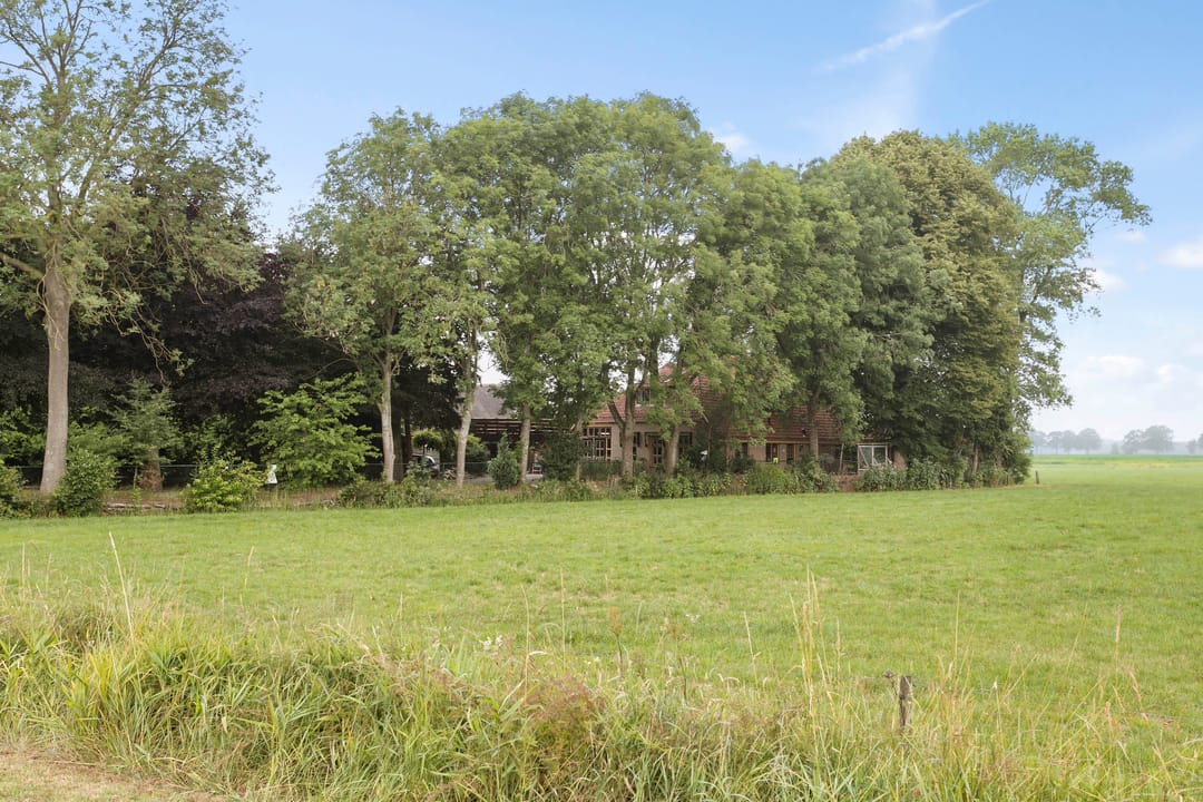 Foto 11 van Buitenburen 2