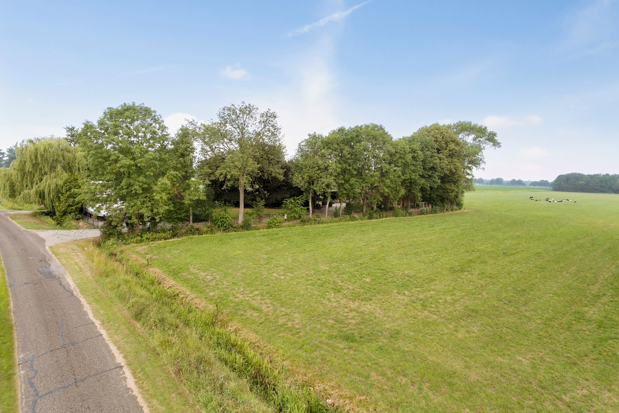 Foto 12 van Buitenburen 2