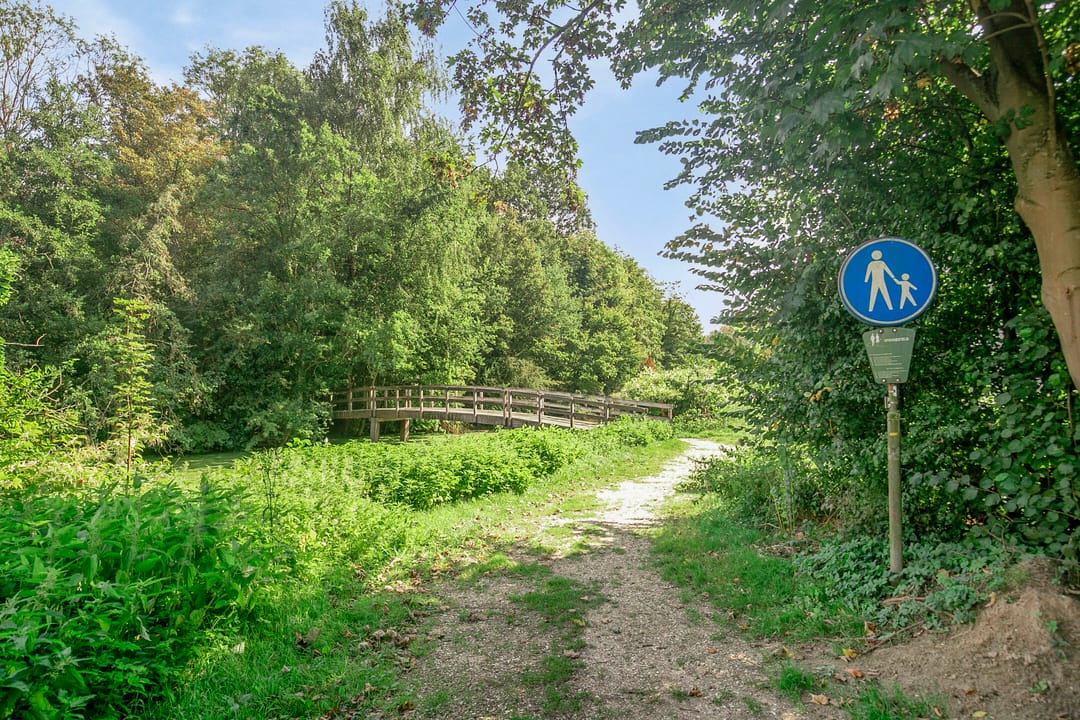 Foto 28 van Robertstraat 44