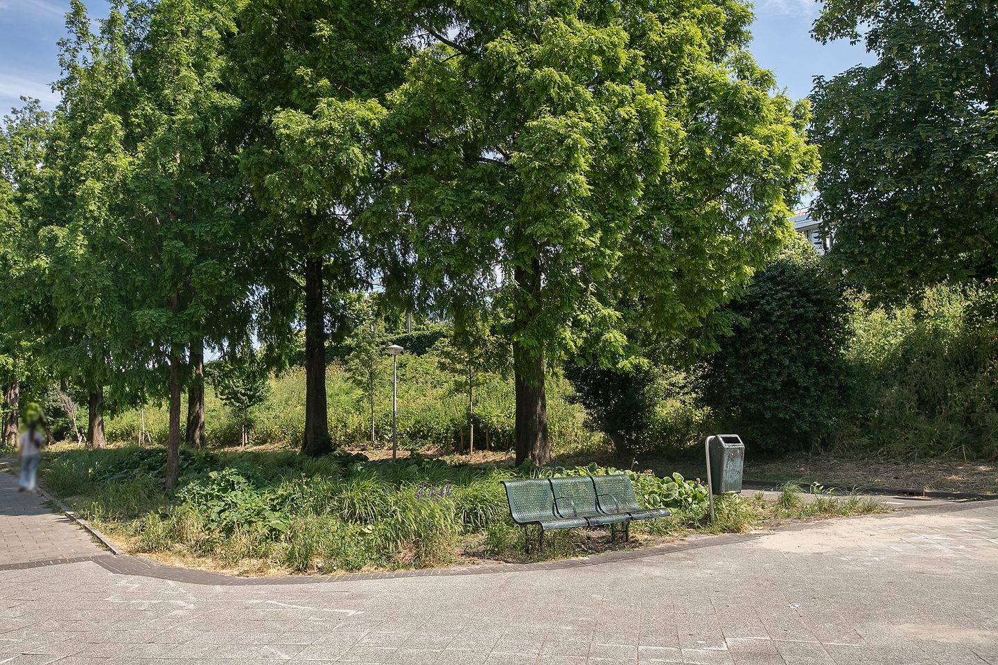 Foto 44 van Linnaeusstraat 97-H